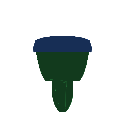 input render