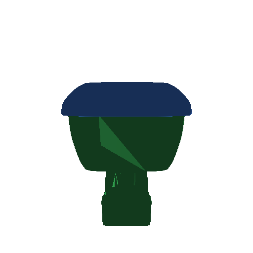 input render