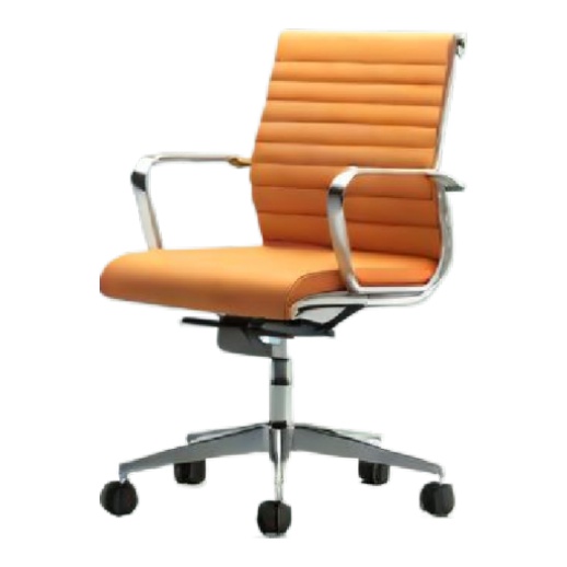 swivelchair Preprocessed input image